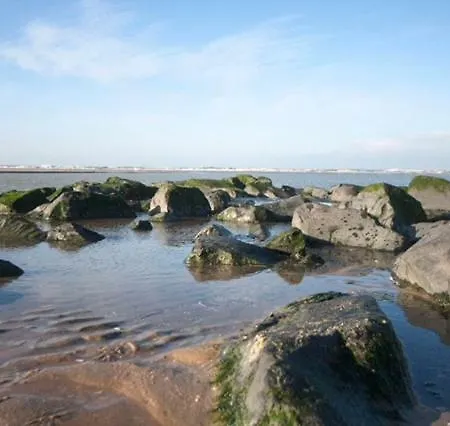 Pakhuis 5 아파트 *