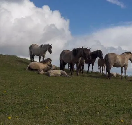 아파트 Pakhuis 5 *