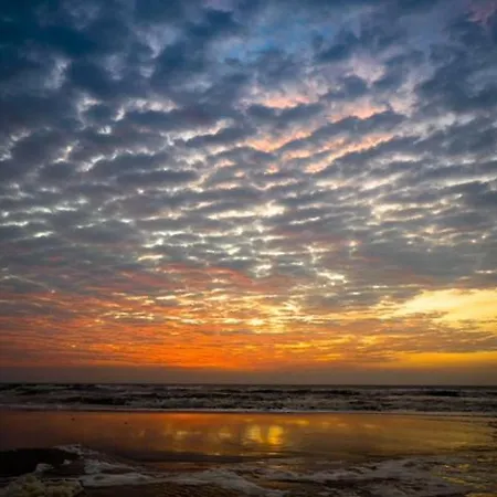 Pakhuis 5 아파트 *